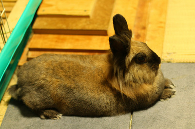 2014062704.jpg