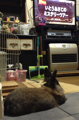 2014062705.jpg