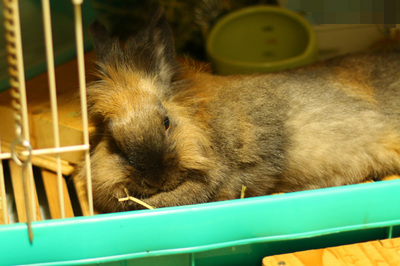2014062706.jpg