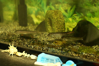 2015061902.jpg