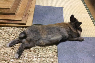 2016090101.jpg