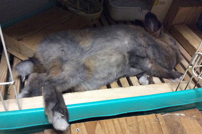 2016090102.jpg