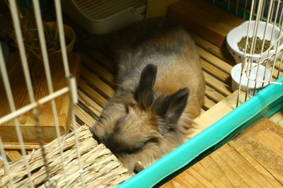 2018071309.jpg