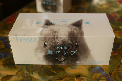2018120304.jpg