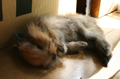 2018120305.jpg