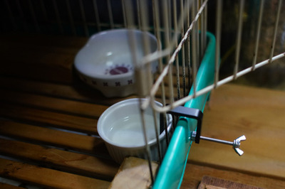2019032207.jpg